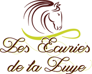 Logo Luye